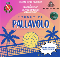 Torneo di pallavolo